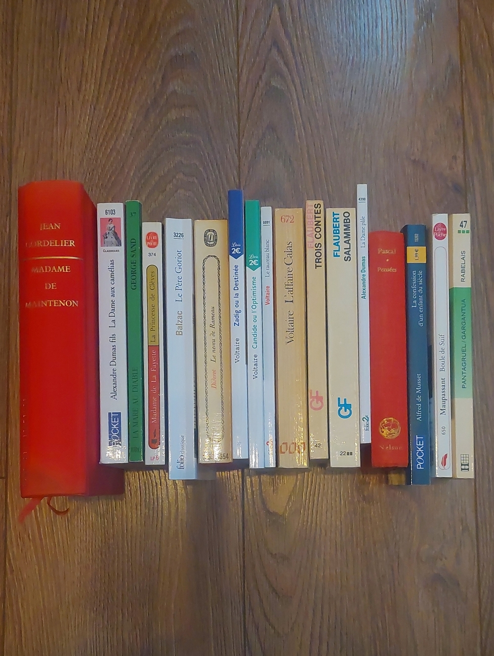 17 Livres Classique Litterature Francaise 18e 19e Lot Dumas, Voltaire, Flaubert